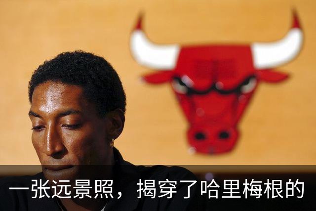 一张远景照，揭穿了哈里梅根的“人山人海”：媒体记者比围观群众还要多