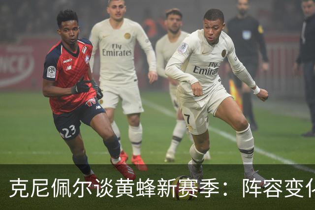 克尼佩尔谈黄蜂新赛季：阵容变化很大 我正努力承担更多领袖责任
