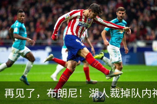 再见了，布朗尼！湖人裁掉队内神射克内克特