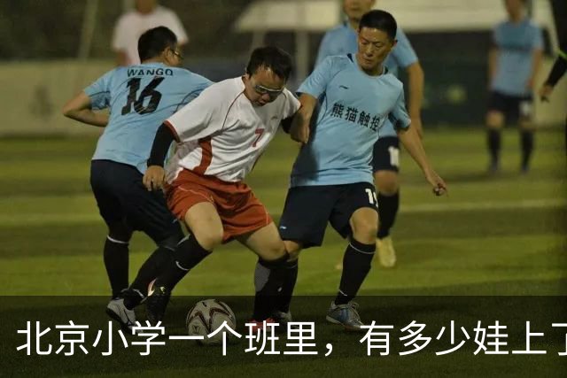 北京小学一个班里，有多少娃上了课外班？