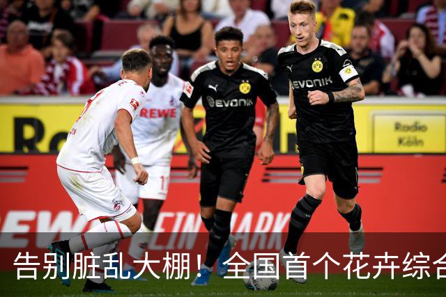 告别脏乱大棚！全国首个花卉综合体落地成都，买花遛娃打卡一站式