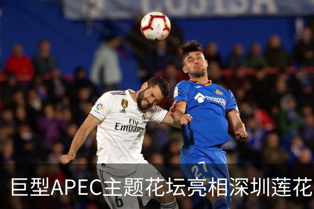 巨型APEC主题花坛亮相深圳莲花山公园