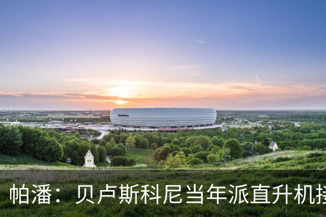 帕潘：贝卢斯科尼当年派直升机接我去米兰