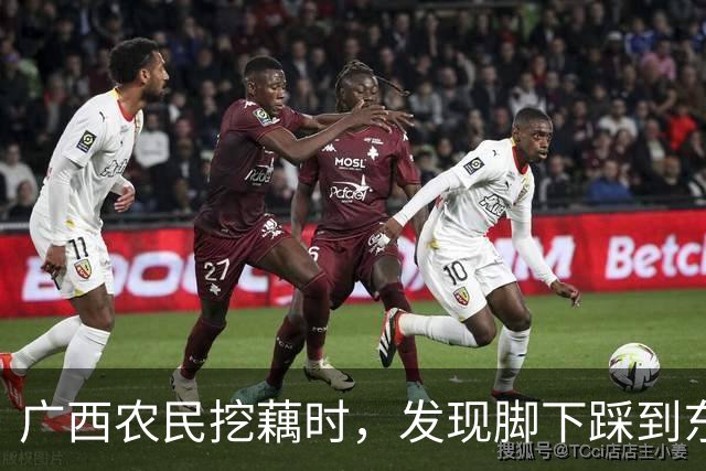 广西农民挖藕时，发现脚下踩到东西，众人合力将其挖出后全都傻眼