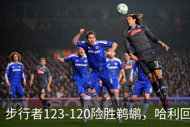 步行者123-120险胜鹈鹕，哈利回归首秀贡献23+12，西卡30+8