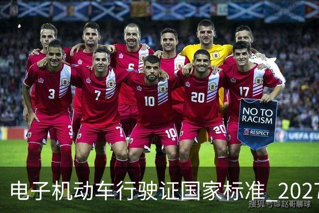电子机动车行驶证国家标准 2027 年 4 月 1 日实施！全国通用更便捷