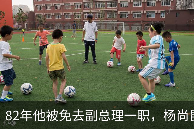 82年他被免去副总理一职，杨尚昆严肃道：到军委来，需要你当助手